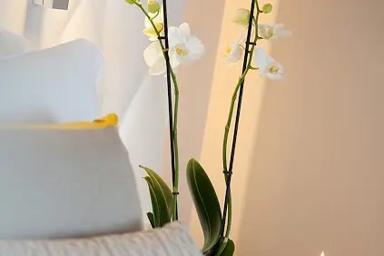 Hôtel Renaissance - Aix en Provence — photo 1