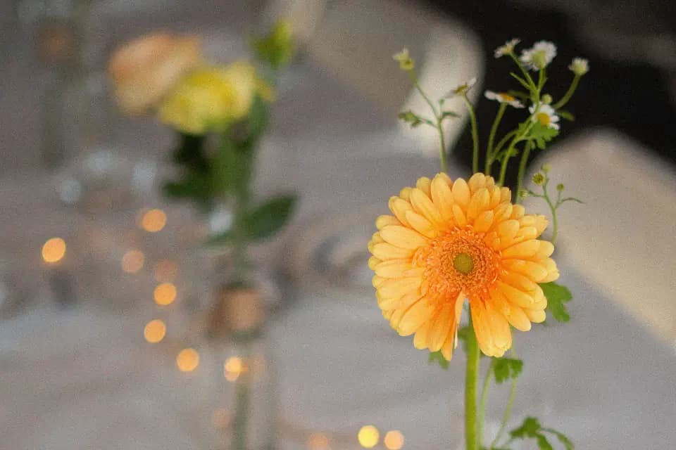 Les Bobines de Marceline — photo 2