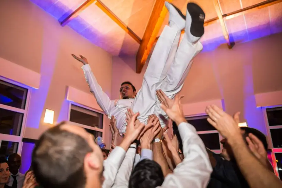 Animarquis — photo 6