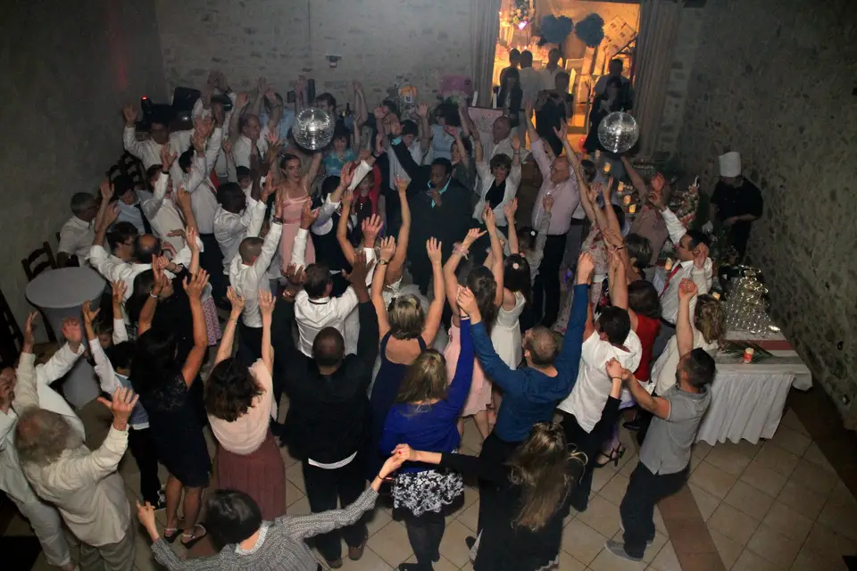 Animarquis — photo 3