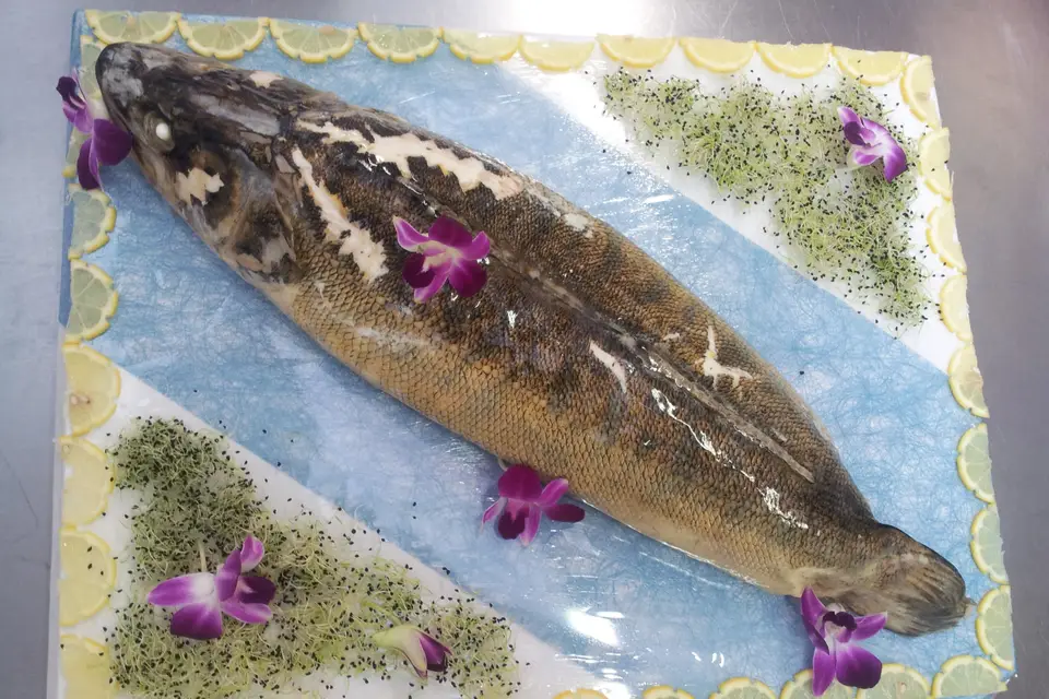 Aux Réceptions Tourangelles — photo 9