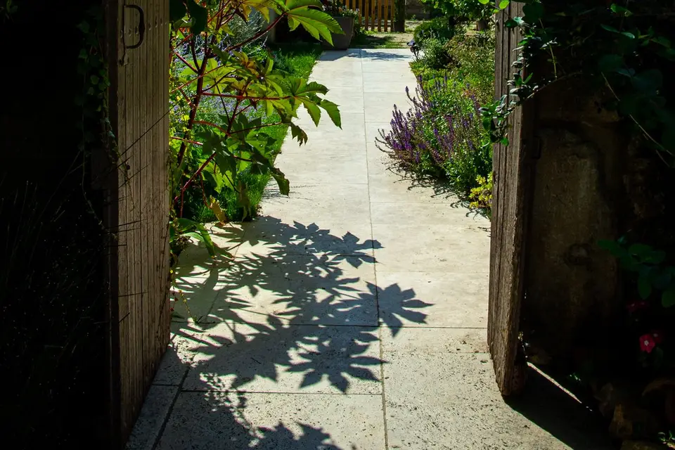 Domaine Abacard — photo 3