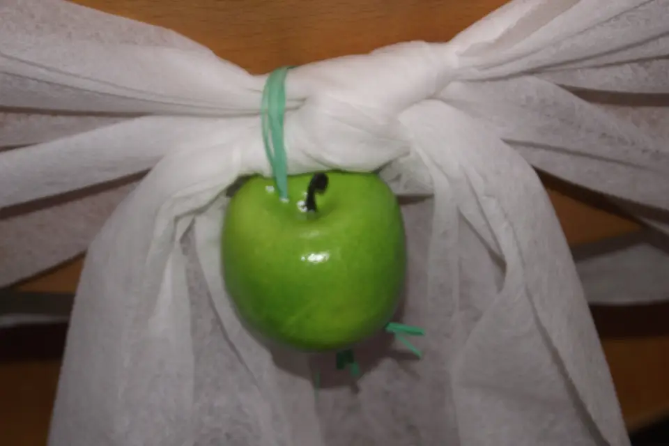 Violette évènements — photo 4