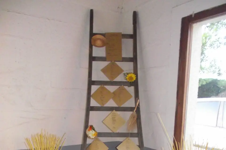 Violette évènements — photo 8