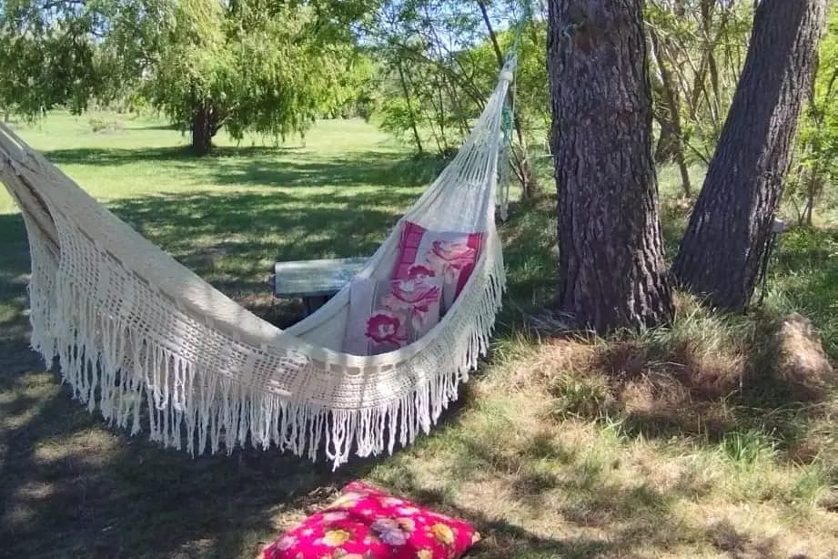 Mas Des Marbres Sauvages — photo 7