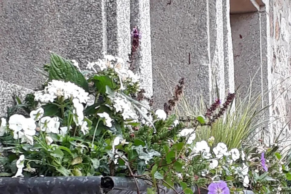 La Cour des Grands — photo 4