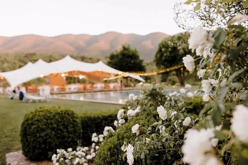 Le Château du Griffon — photo 5