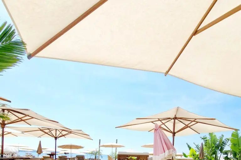 Monsieur Pablo — photo 3