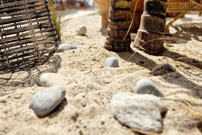 Monsieur Pablo — photo 1