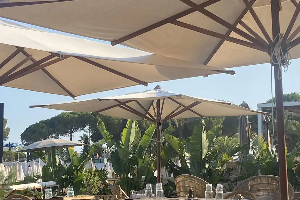 Monsieur Pablo — photo 6