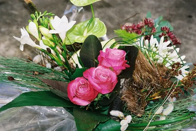 Aubépine Créations — photo 3