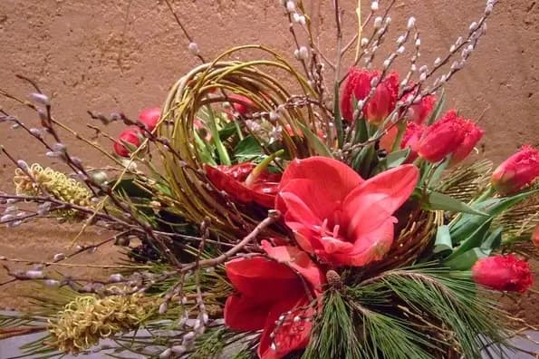 Aubépine Créations — photo 5