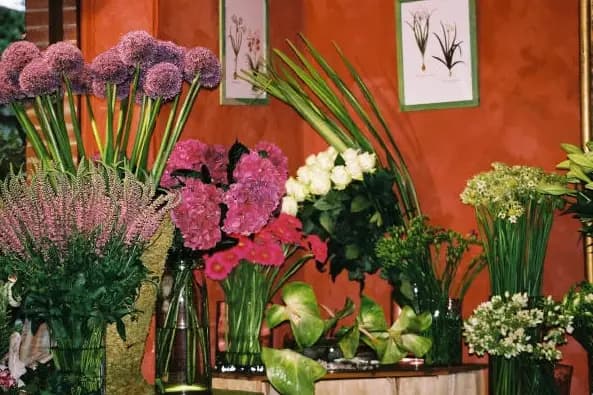 Aubépine Créations — photo 6