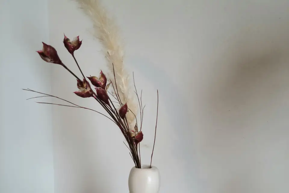 A Minima Déco — photo 1