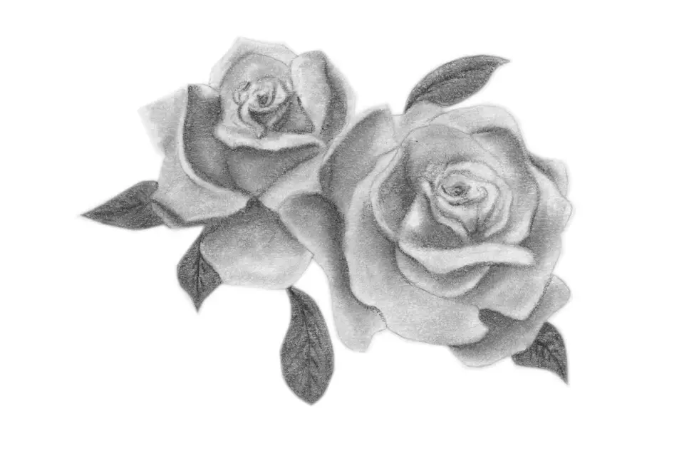 Seho Illustrations — photo 8