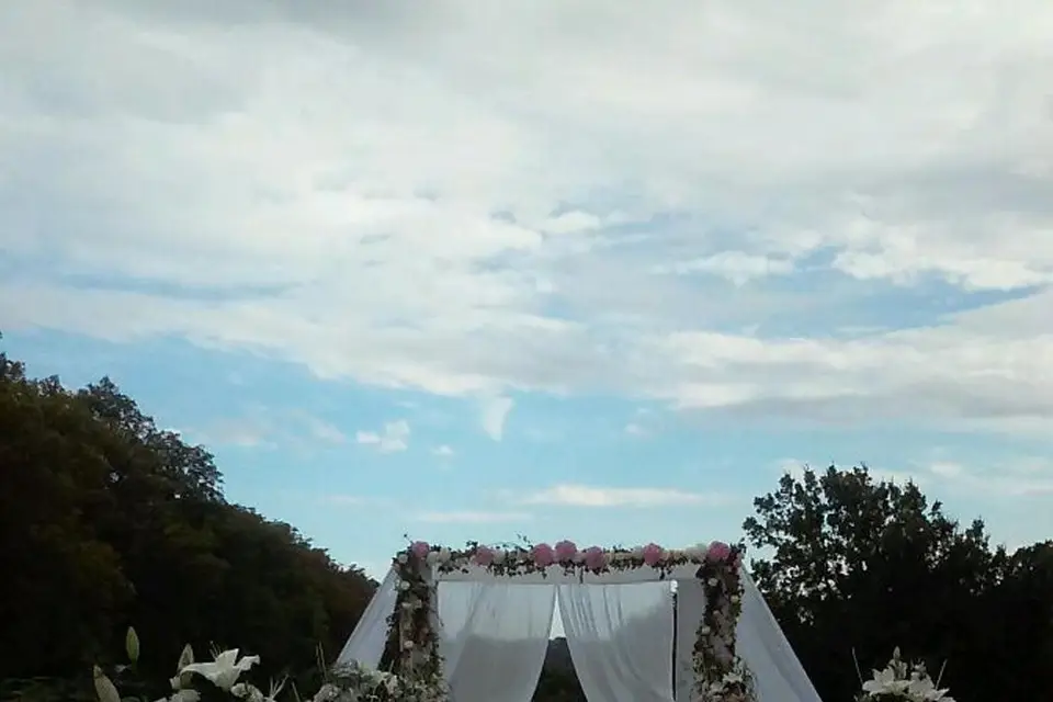 Céline Amoureux — photo 1