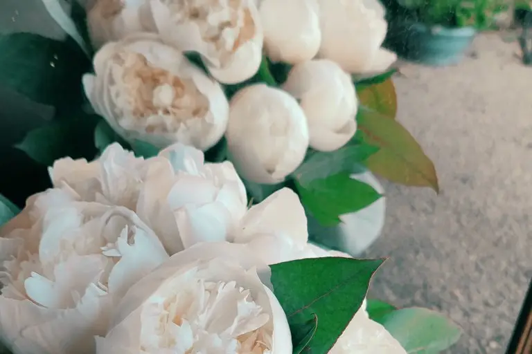 Céline Amoureux — photo 8