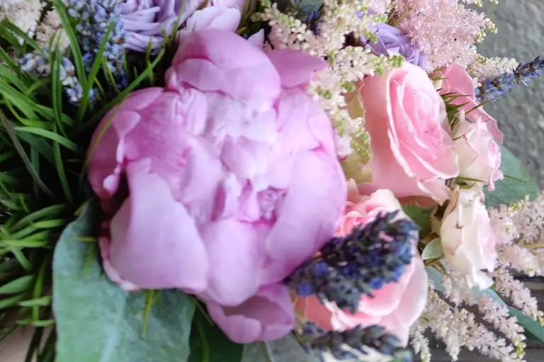 Céline Amoureux — photo 6