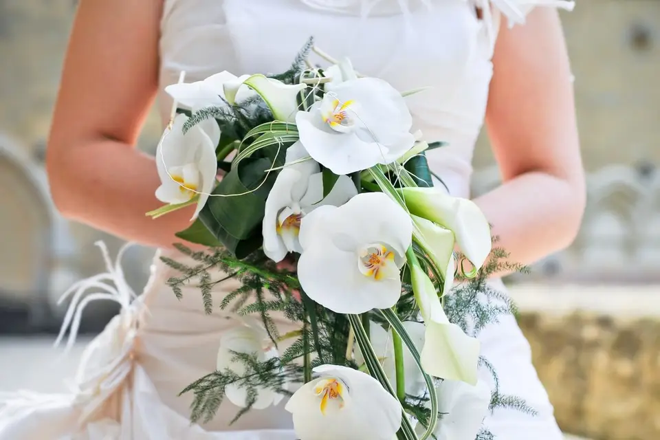 Art et Nature — photo 7