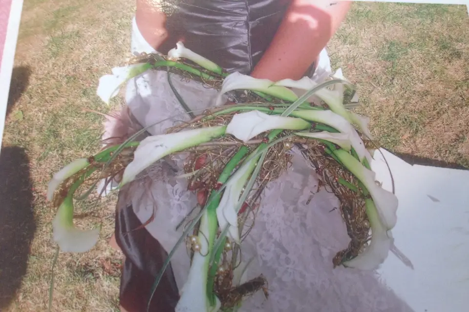 Art et Nature — photo 6