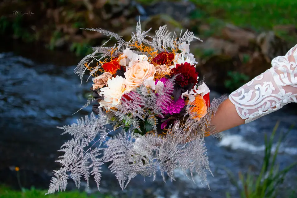 FG Drone View — photo 3