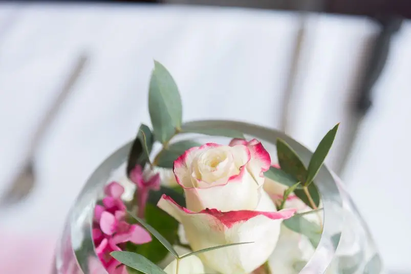 Léa Pons — photo 6