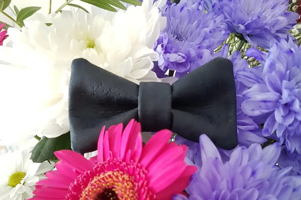 Wild Gaze — photo 1