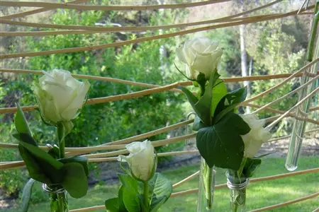 L'Atelier d'Alice — photo 8