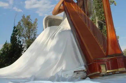 Artistes & Events — photo 7