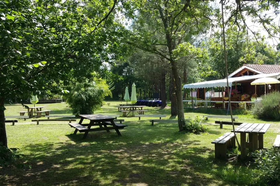 Les Palafitos — photo 6