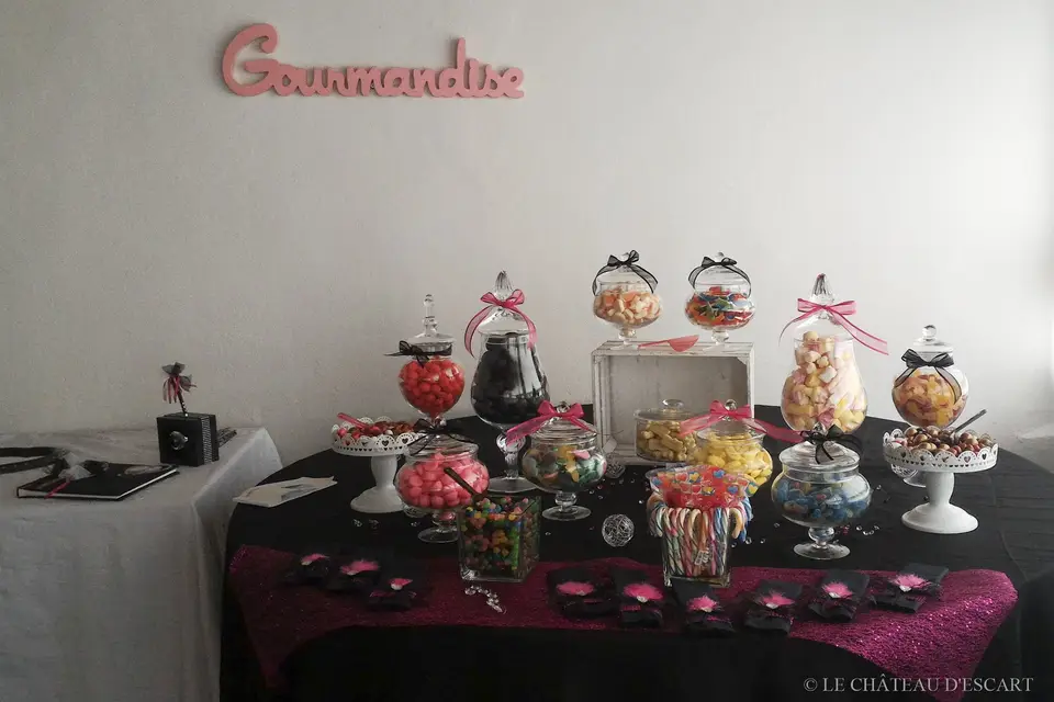 Château d'Escart — photo 8