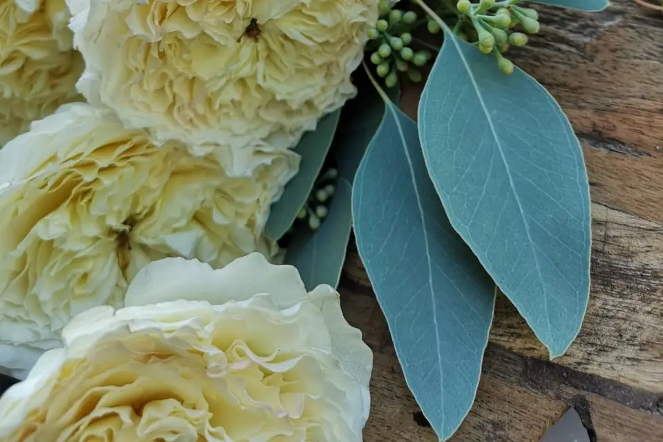 Au fil des saisons — photo 5