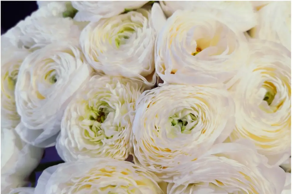 Au fil des saisons — photo 8