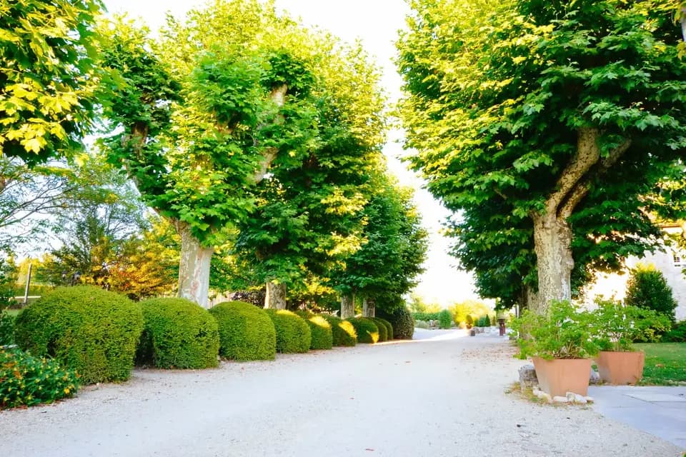 Domaine du Manoir — photo 1