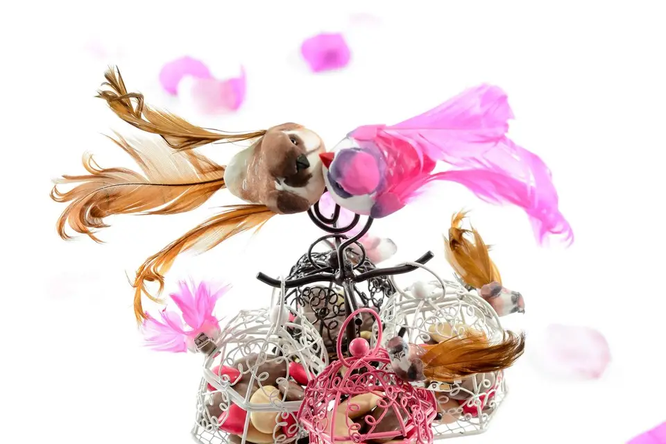 Boite dragées — photo 6