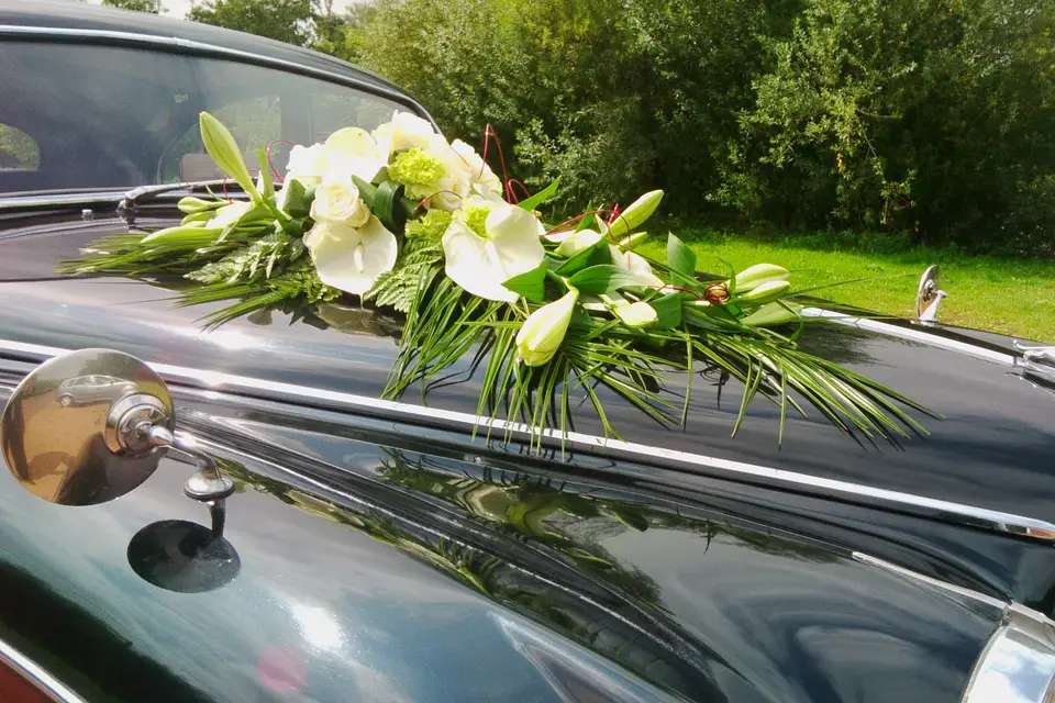 Voitures et Rêves — photo 3