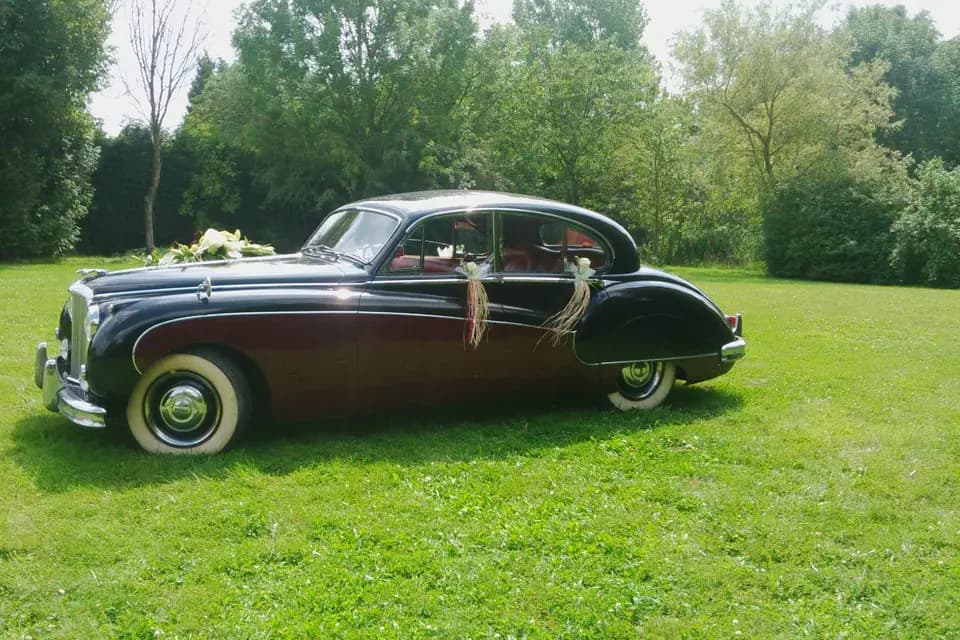 Voitures et Rêves — photo 1