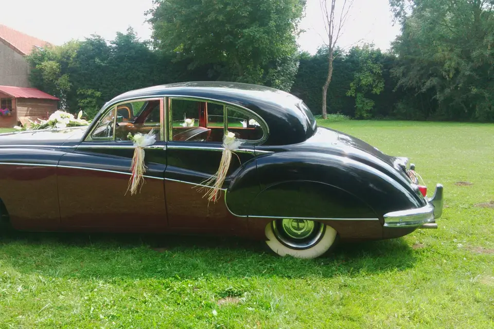 Voitures et Rêves — photo 2