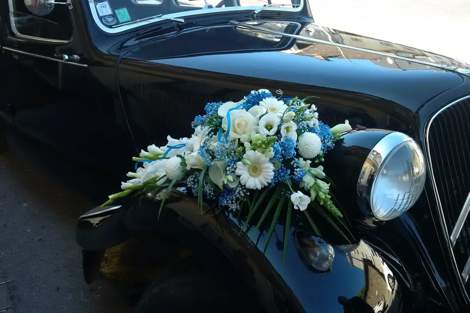 Voitures et Rêves — photo 6