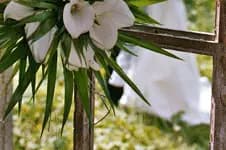 Studio Lafontaine — photo 3