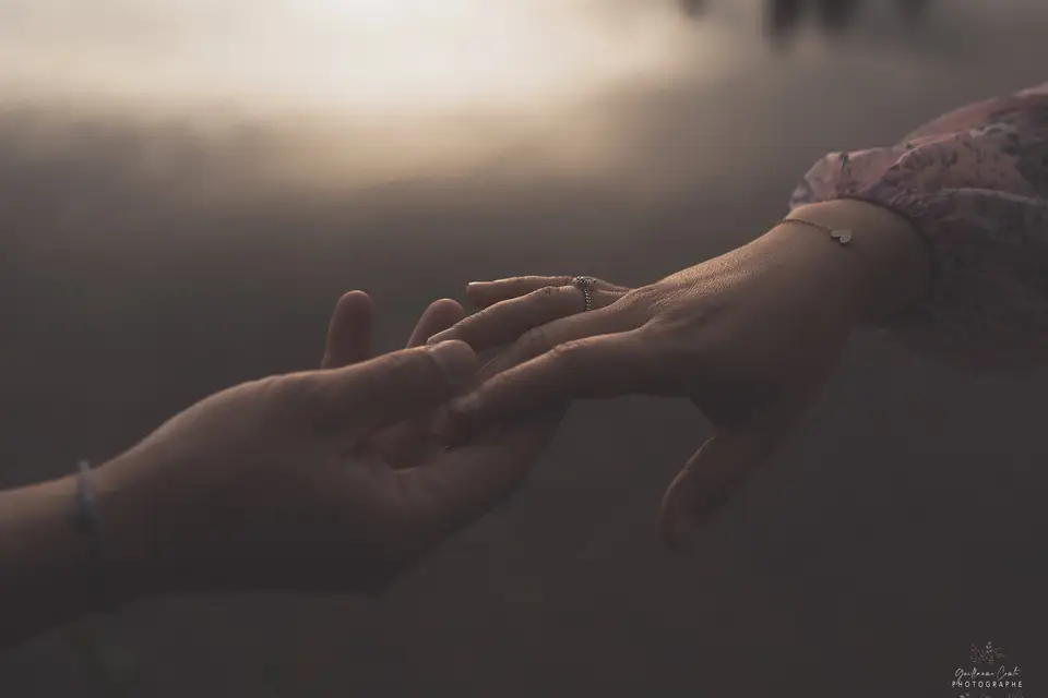 Guillaume Comte — photo 5