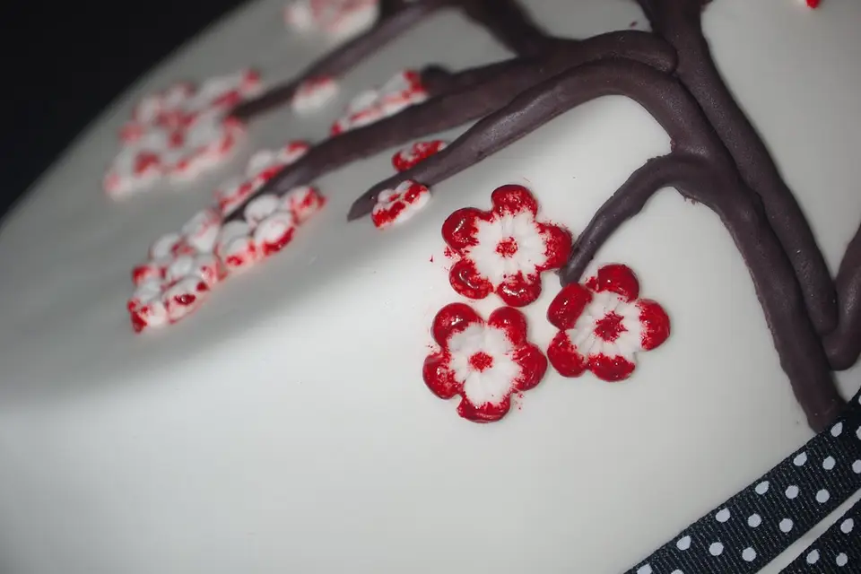 Singuliers — photo 8