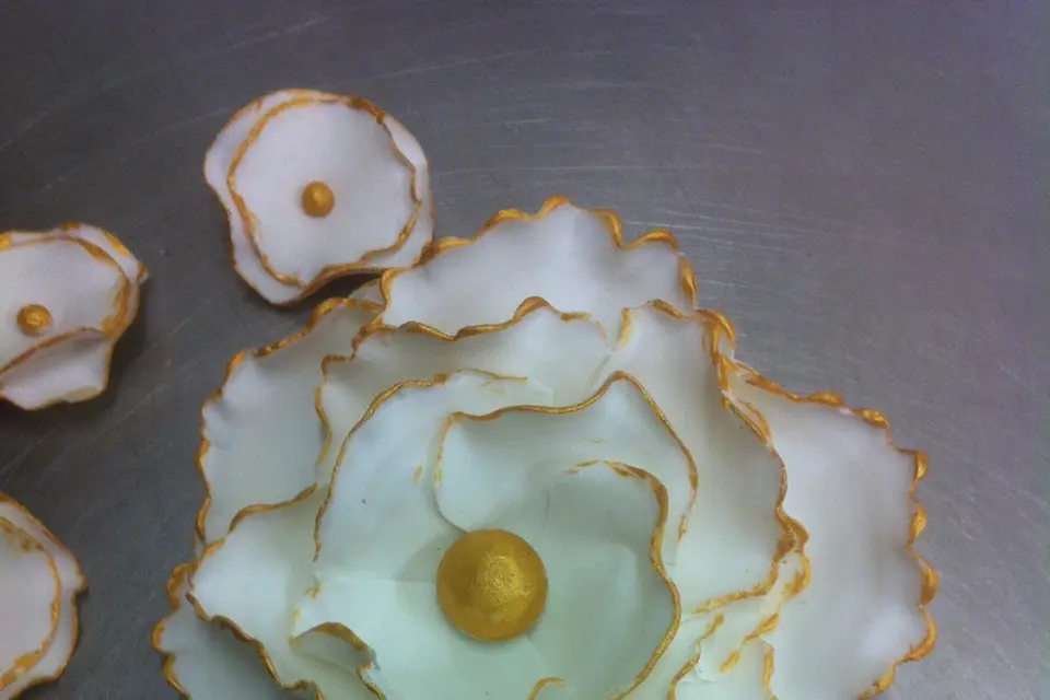 Singuliers — photo 7