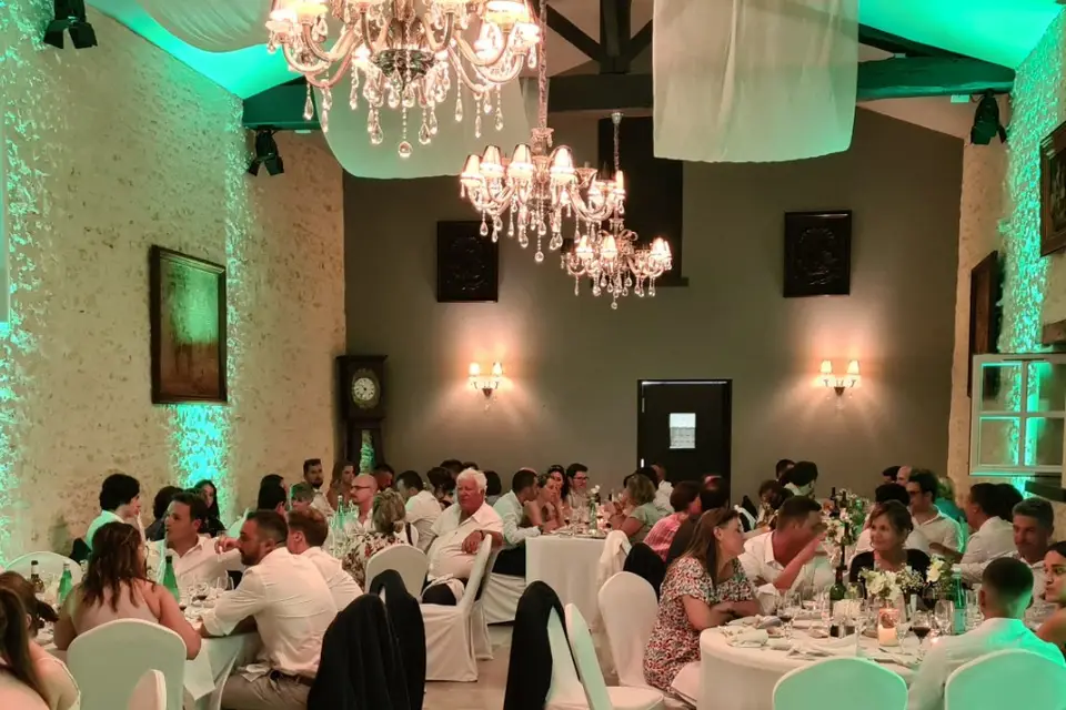 SBL Animation — photo 7