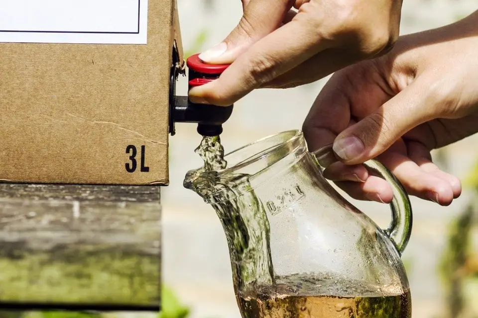 Let it BIB — photo 6