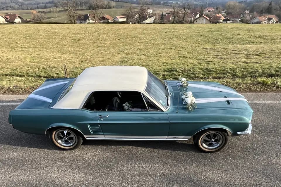 Mustang de Ben — photo 5