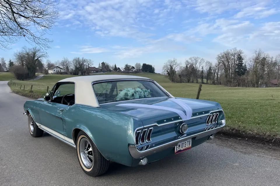 Mustang de Ben — photo 7