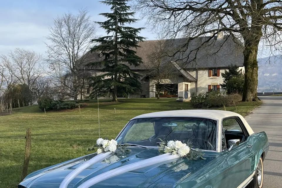 Mustang de Ben — photo 4