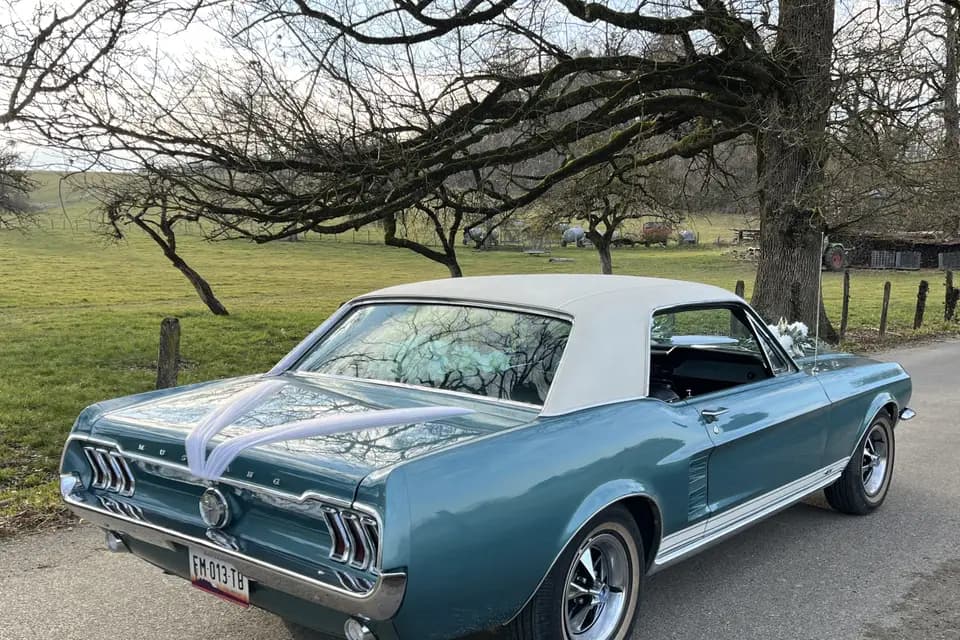 Mustang de Ben — photo 1