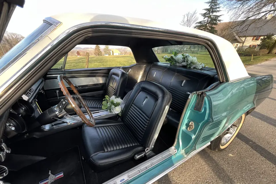 Mustang de Ben — photo 3